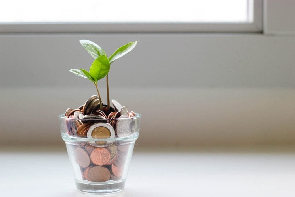 vida financeira sustentável