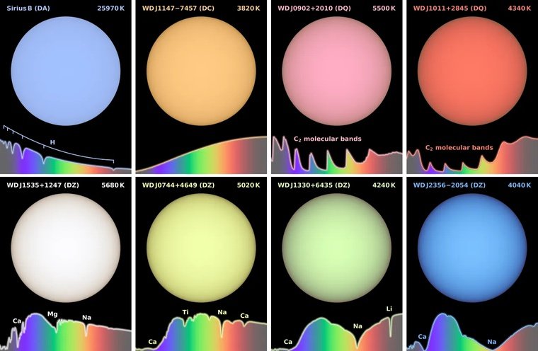 Imagens simuladas com precisão de cor de anãs brancas. Imagens superiores à esquerda: Sirius B é a anã branca mais próxima do Sistema Solar. Sua atmosfera quente de hidrogênio lhe confere uma cor azul pálido. Em contrapartida, a WD J1147-7449 está entre as anãs brancas mais frias da vizinhança, apresentando um espectro sem feições e uma aparência alaranjada. Imagens superiores à direita: Nas camadas de convecção dessas anãs brancas frias, o carbono é dragado do núcleo para suas densas atmosferas dominadas por hélio. Isso forma moléculas de carbono diatômico, resultando em diferentes tons de rosa. Imagens inferiores: A atração de detritos rochosos de sistemas planetários ao redor das anãs brancas enriquece suas frias atmosferas de hélio com elementos como cálcio, magnésio e sódio. As variações na quantidade e na composição do material absorvido, somadas às diferentes temperaturas das anãs brancas, geram uma ampla variedade de cores, incluindo o verde. Na realidade, todas as estrelas seriam milhões de vezes mais brilhantes do que o que pode ser exibido em uma tela. Fonte: Mark A. Garlick/Universidade de Warwick.