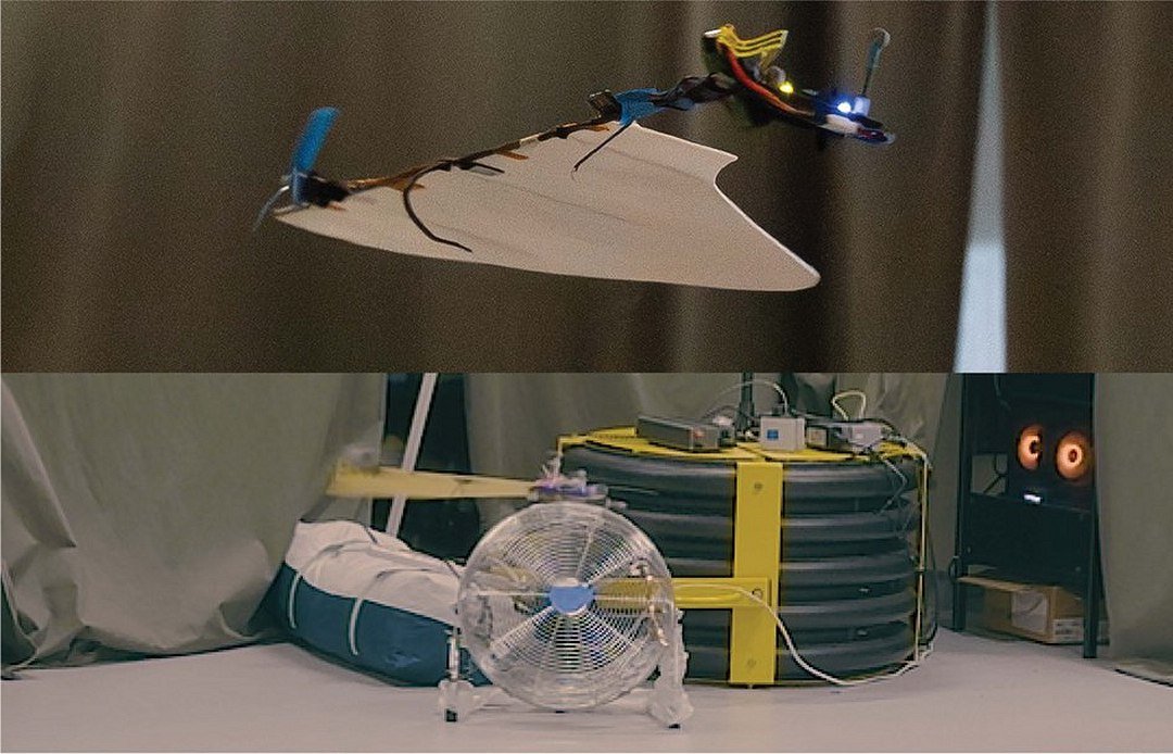 Drone inspirado em semente voa de modo controlado com um único motor