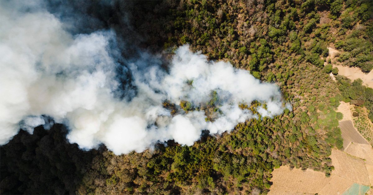 A imagem foi tirada de cima para baixo e mostra uma floresta com fumaça de fogo em cima das árvores